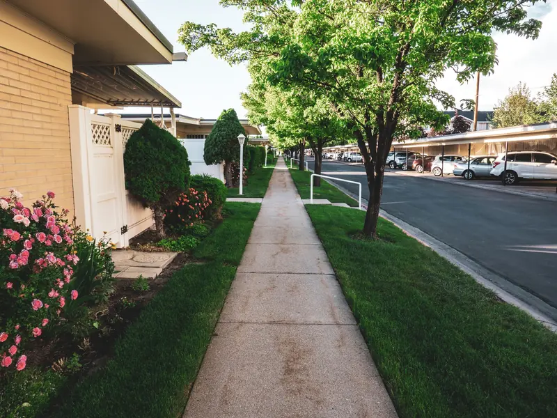 Tree-lined residential sidewalk on a sunny day